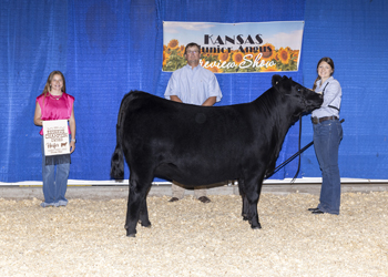 Reserve Grand Champion Owned Female