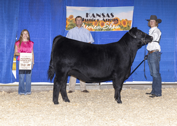 Grand Champion Owned Female