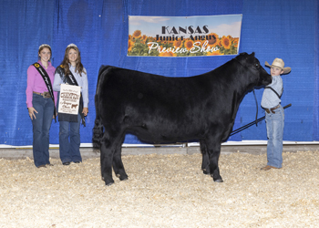 Grand Champion Steer