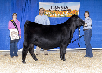 Reserve Grand Champion Bred-and-owned Female