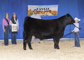 Reserve Grand Champion Steer