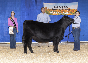 Fourth Overall Bred-and-owned Champion Female