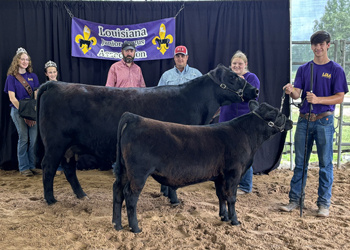 Grand Champion Cow-calf Pair