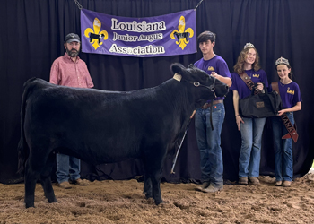 Grand Champion Bred-and-owned Female