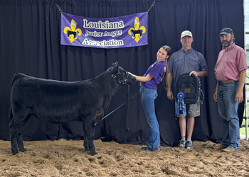 Reserve Grand Champion Bred-and-owned Female