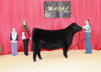 Bred-and-owned Reserve Senior Champion Female