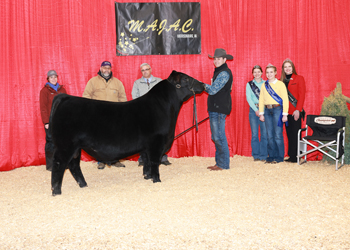 Reserve Grand Champion Bred-and-owned Bull