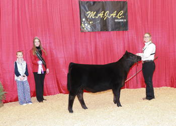 Bred-and-owned Senior Heifer Calf Champion