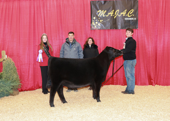 Bred-and-owned Intermediate Champion Heifer