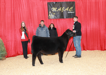 Bred-and-owned Reserve Senior Heifer Calf Champion