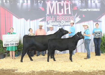 Grand Champion Cow-calf Pair