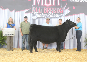 Bred-and-owned Senior Champion Female