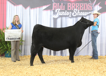 Bred-and-owned Reserve Senior Champion Female