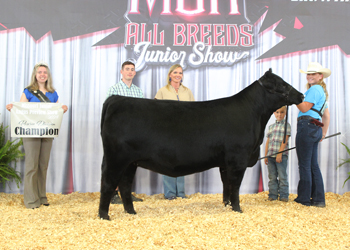 Bred-and-owned Reserve Junior Champion Heifer