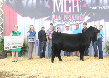 Grand Champion Bred-and-owned Female