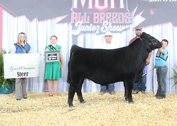 Grand Champion Steer