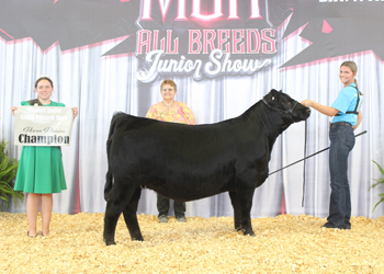 Bred-and-owned Reserve Intermediate Champion Heifer