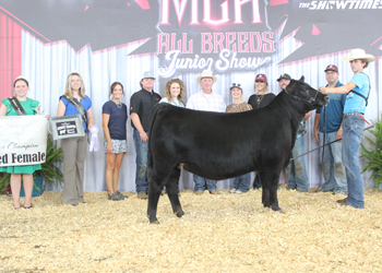 Reserve Grand Champion Owned Female