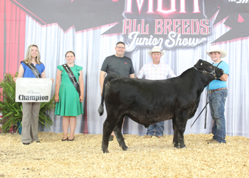 Bred-and-owned Senior Bull Calf Champion