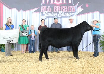 Reserve Grand Champion Steer