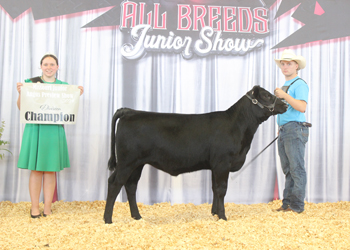 Bred-and-owned Junior Heifer Calf Champion