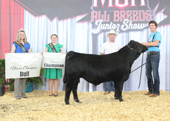 Reserve Grand Champion Bred-and-owned Bull