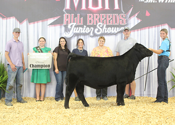 Owned Senior Heifer Calf Champion