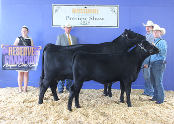 Reserve Grand Champion Cow-calf Pair