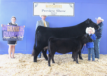 Grand Champion Cow-calf Pair