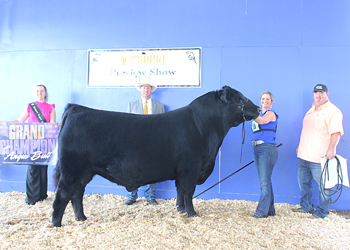 Grand Champion Bull