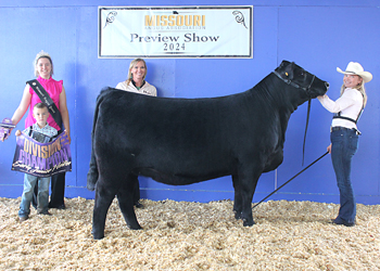 Junior Champion Heifer