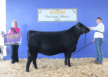 Reserve Junior Champion Heifer