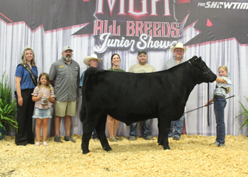 Champion Jackpot Steer