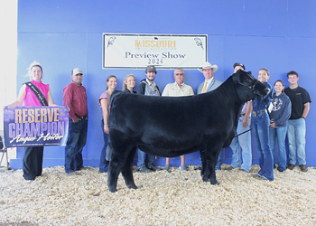 Reserve Grand Champion Female