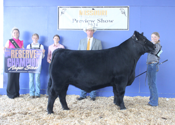 Reserve Grand Champion Steer