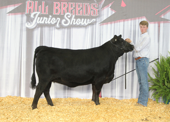 PGS Heifer Division 5