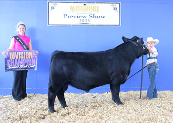 Reserve Grand Champion Bull