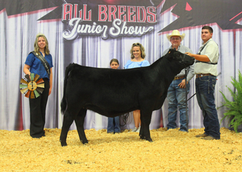 Reserve Champion Jackpot Heifer