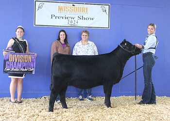 Late Senior Heifer Calf Champion