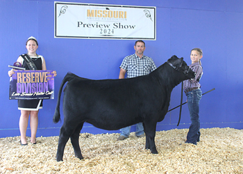 Reserve Late Senior Heifer Calf Champion