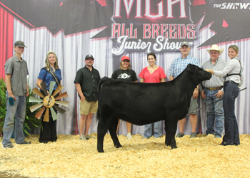 Champion Jackpot Heifer