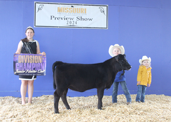 Junior Heifer Calf Champion