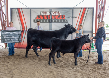 Reserve Grand Champion Cow-calf Pair