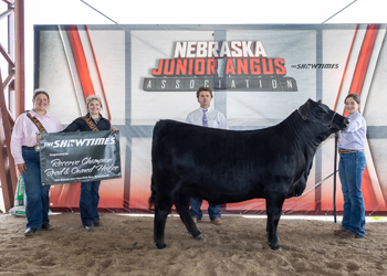 Reserve Grand Champion Bred-and-owned Female