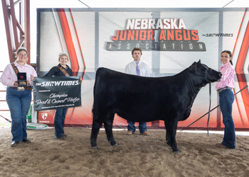 Grand Champion Bred-and-owned Female