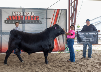 Grand Champion Bred-and-owned Bull