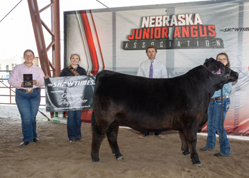 Grand Champion Steer