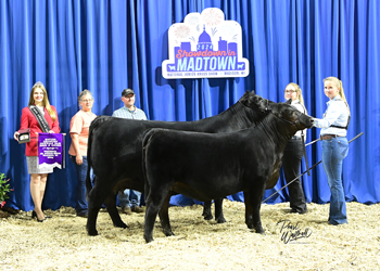 Bred-and-owned Champion Mature Cow-calf Pair