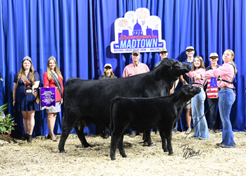 Owned Champion Mature Cow-calf Pair