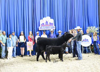 Reserve Grand Champion Owned Cow-calf Pair